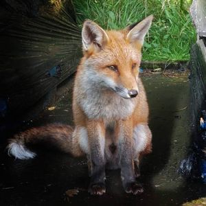 Meet your Posher, Jade